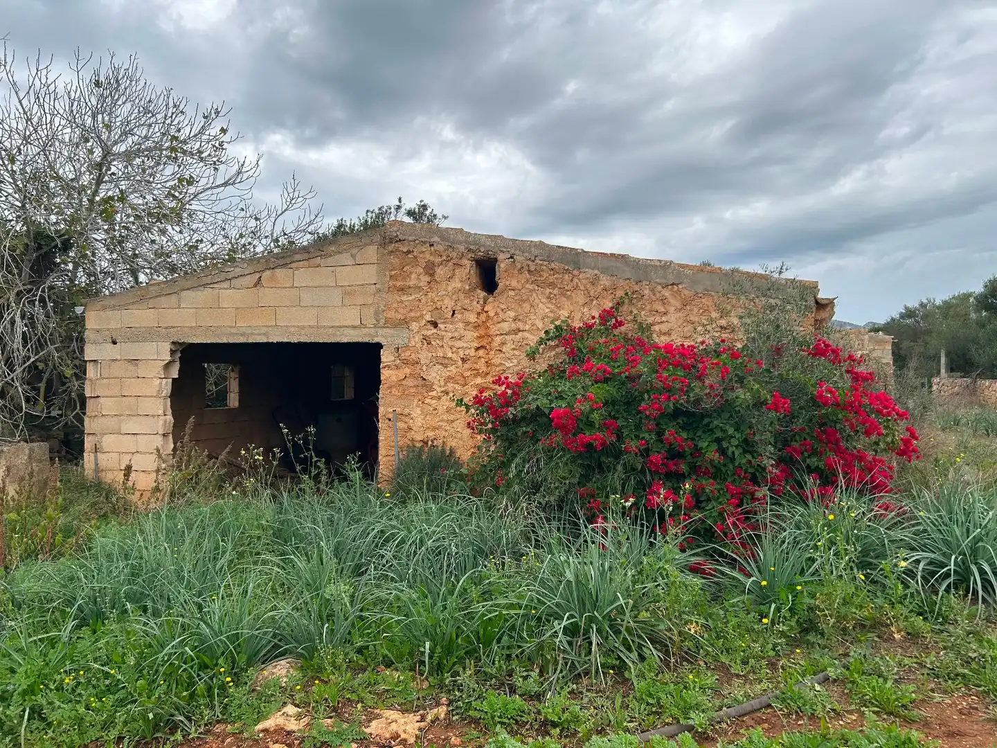 Casa rustica con giardino in vendita a Artà Poble, imagen 23