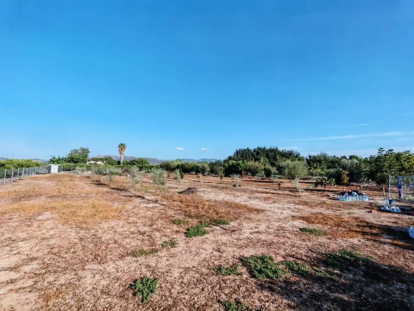 Rural land for sale in Benavites, imagen 7