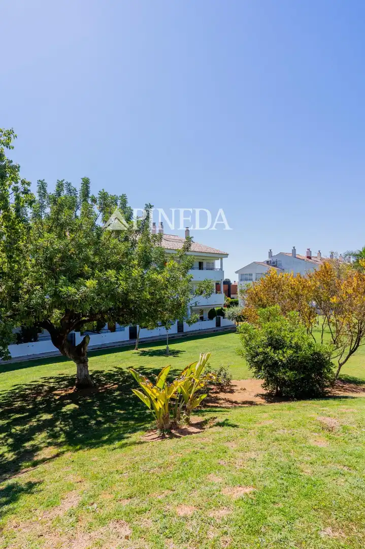 Jardí de Apartament de lloguer en Puçol amb Terrassa, Moblat i Piscina comunitària