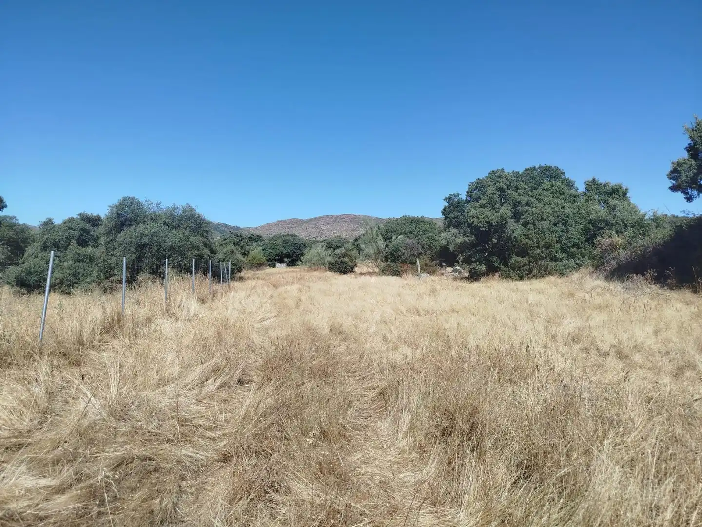Finca rústica en venta en Fresnedilla, Ávila