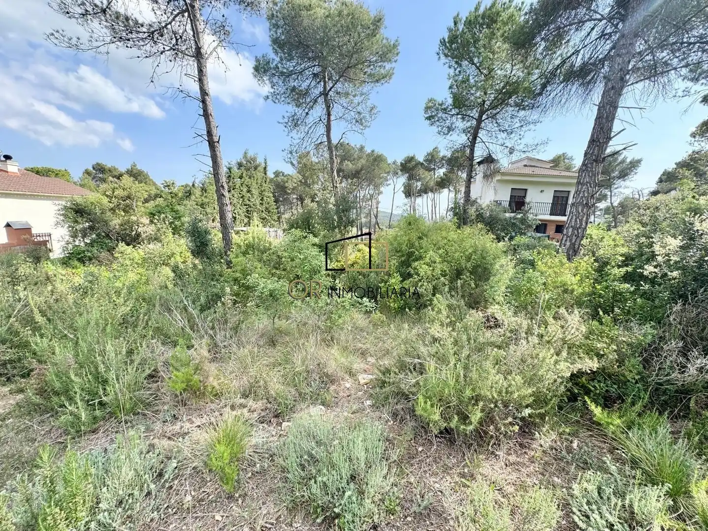 Residential land for sale in Pontons, imagen 8