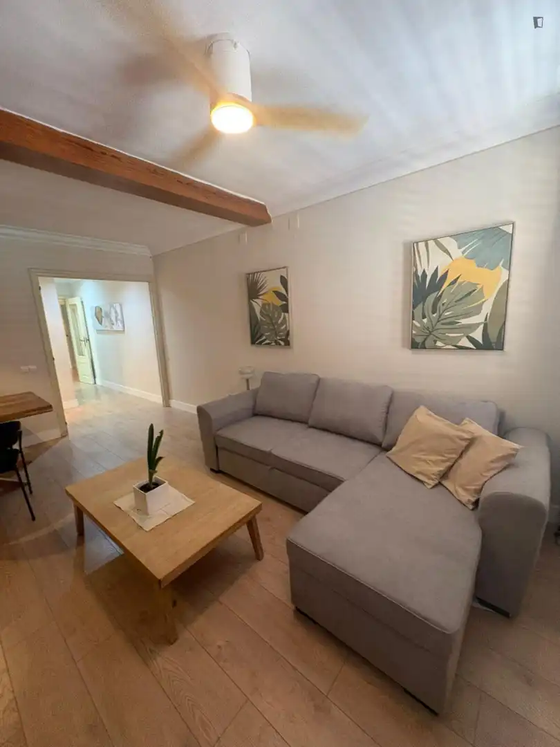 Sala de estar de Apartamento de alquiler en Valencia con Aire acondicionado y Amueblado
