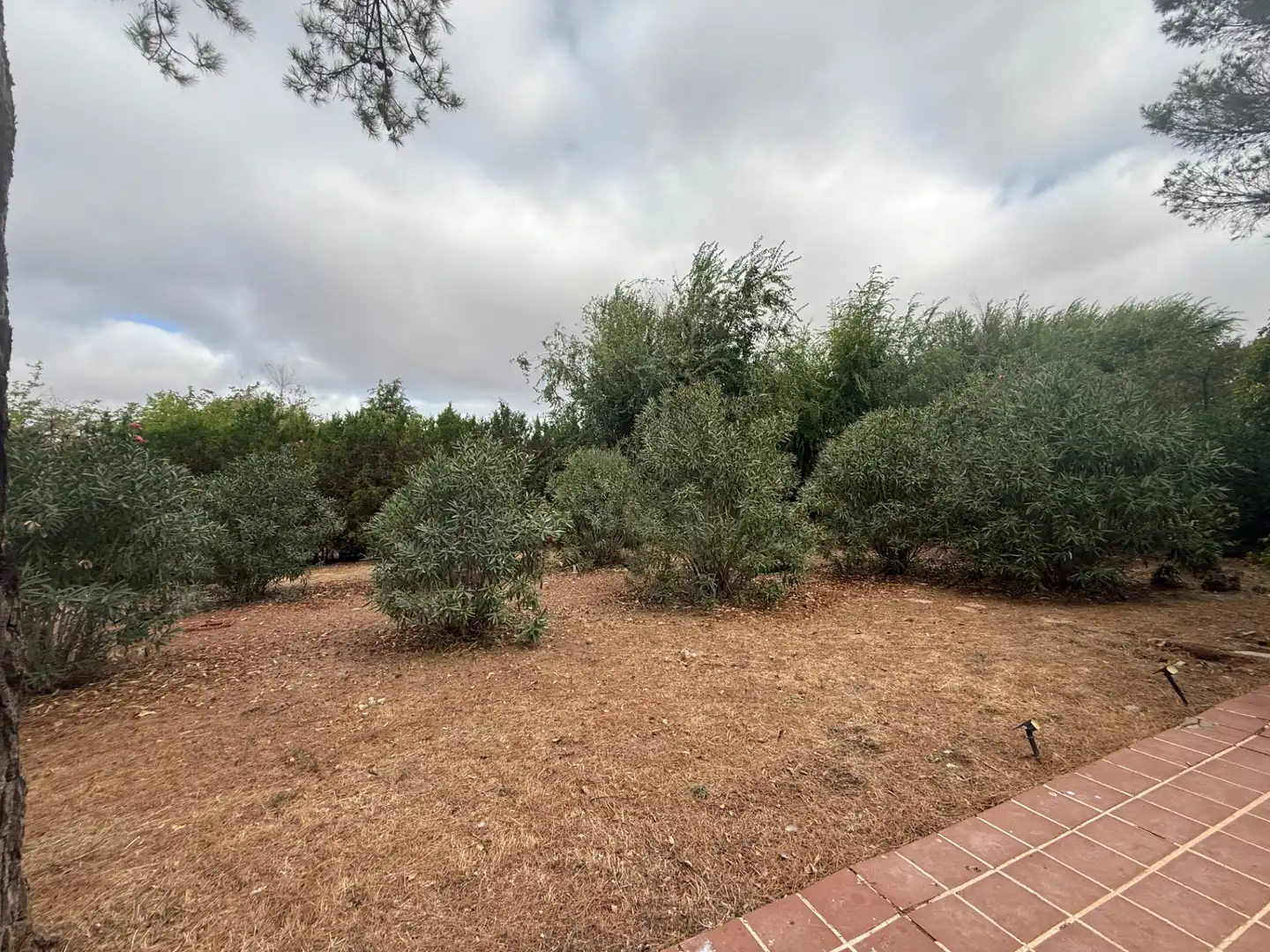 Casa o chalet en venta en Poblete con Aire acondicionado, Jardín privado y Piscina