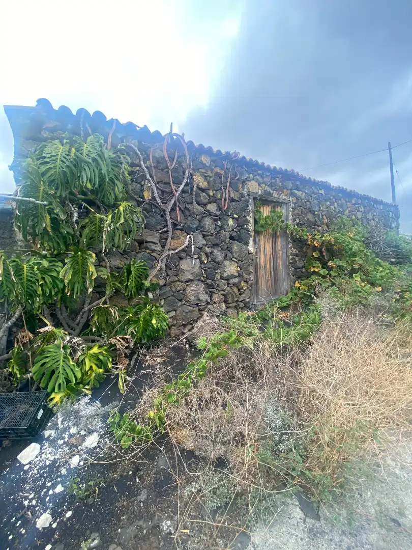 Vista exterior de Finca rústica en venta en Los Llanos de Aridane con Jardín privado y Amueblado