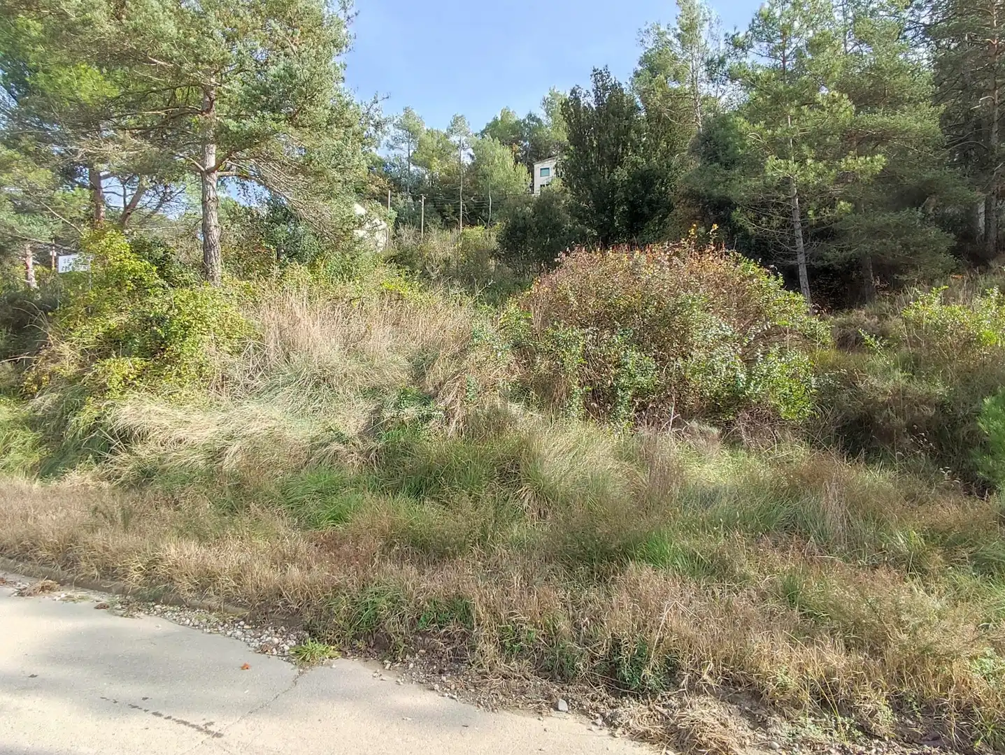 Terrain rustique à vendre à Monistrol de Calders