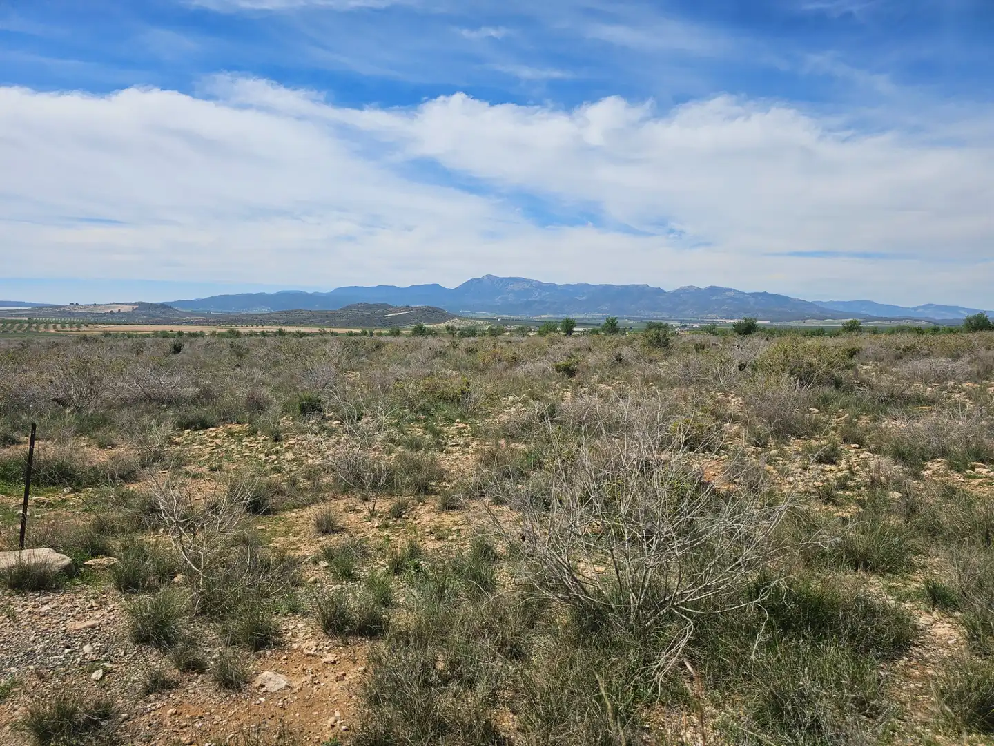 Lands and plots for sale in Mula, imagen 8