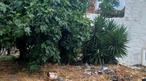 Foto 3 de Casa o xalet en venda a El Castillo, Aspe