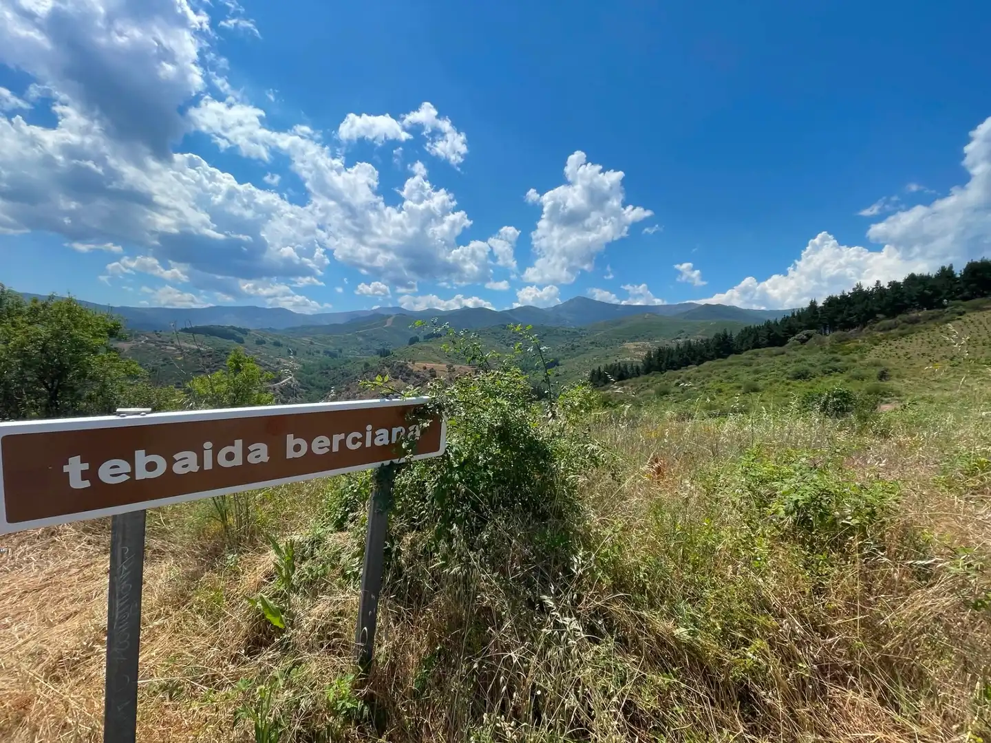 Finca rústica en venda en Ponferrada