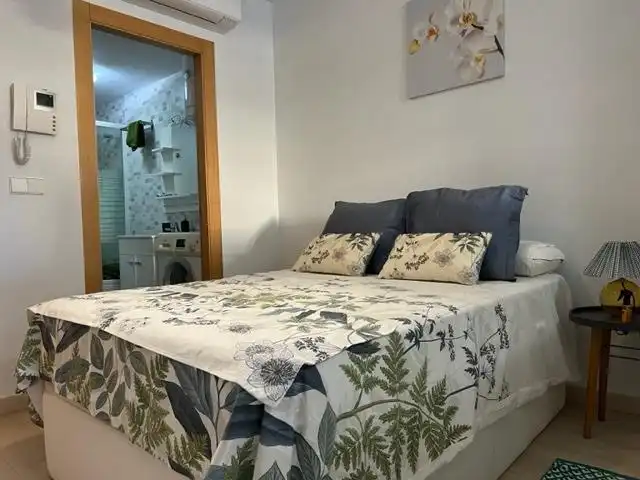 Studio mit Pool zur Miete in Pedanías Norte, imagen 18
