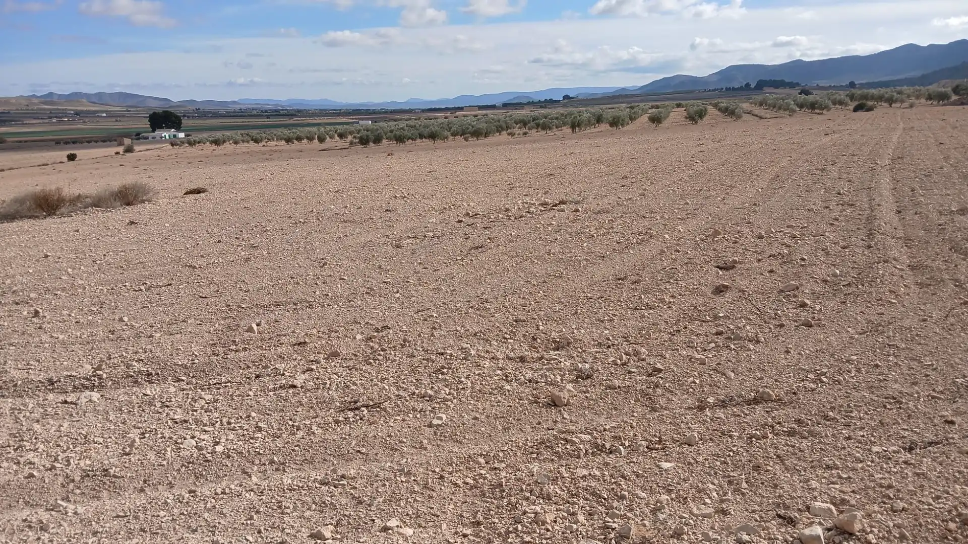 Residential land for sale in Yecla, imagen 13