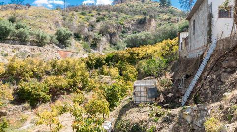 Foto 3 de Finca rústica en venta en Cómpeta, Málaga