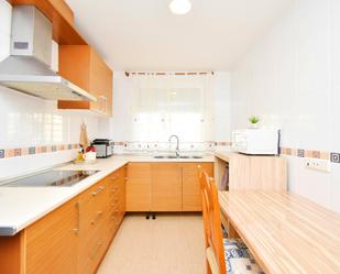 Kitchen of Flat for sale in El Ejido