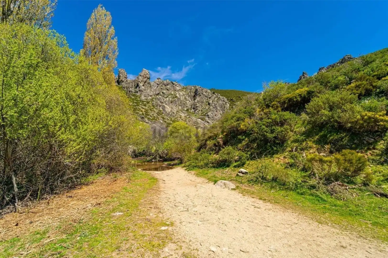 Vista exterior de Casa o chalet en venta en Somosierra con Aire acondicionado