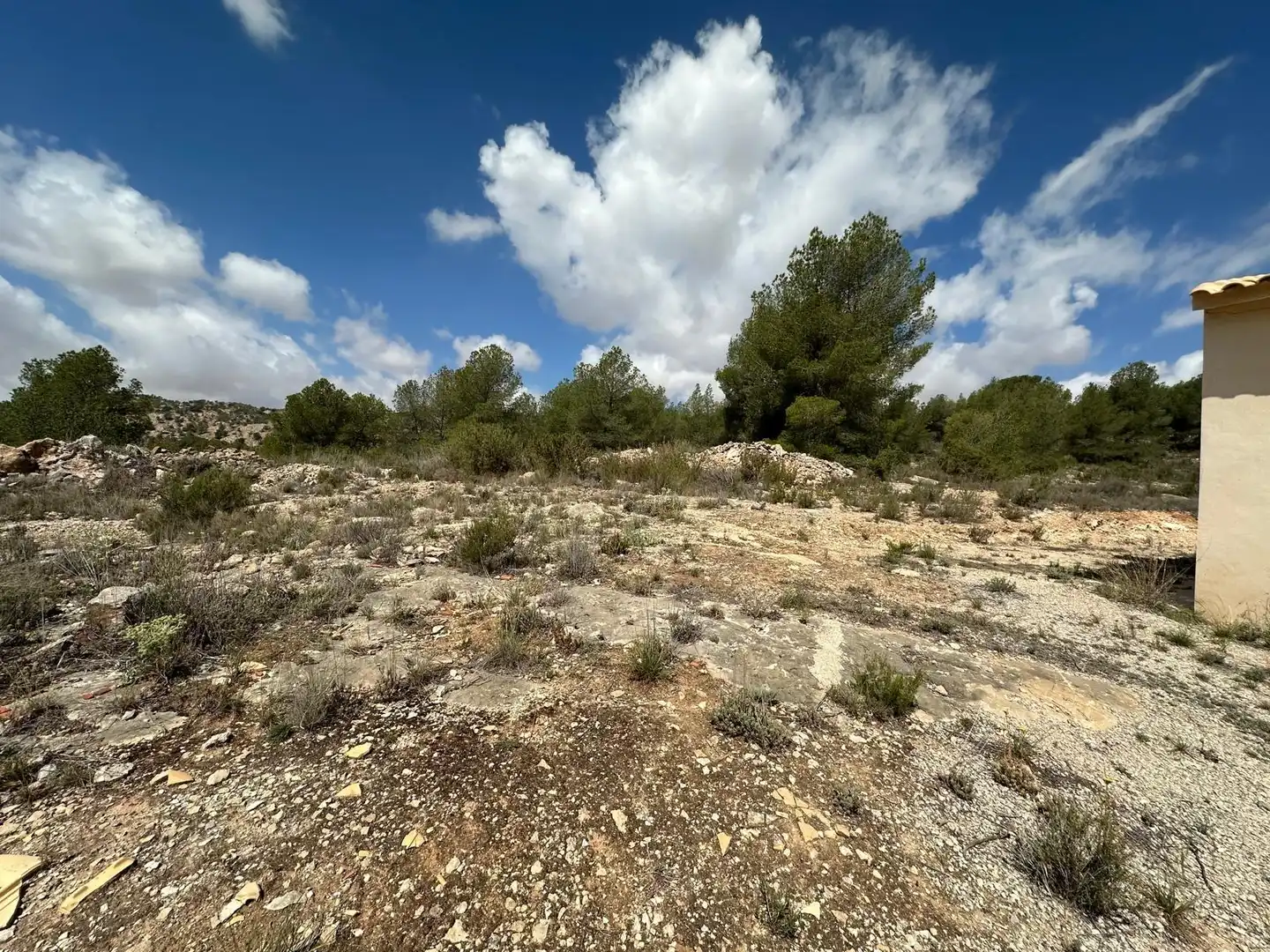 House for sale in Monóvar  / Monòver, imagen 16