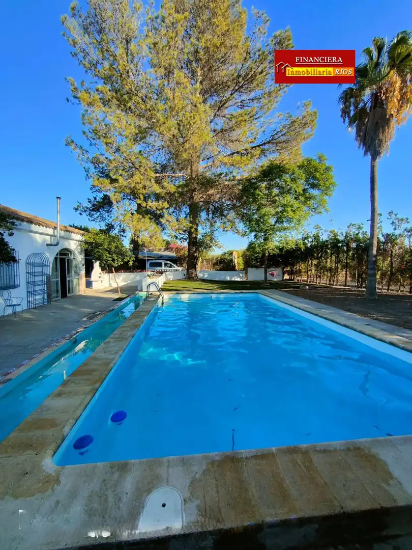 Chalet con piscina en venta en Carmona