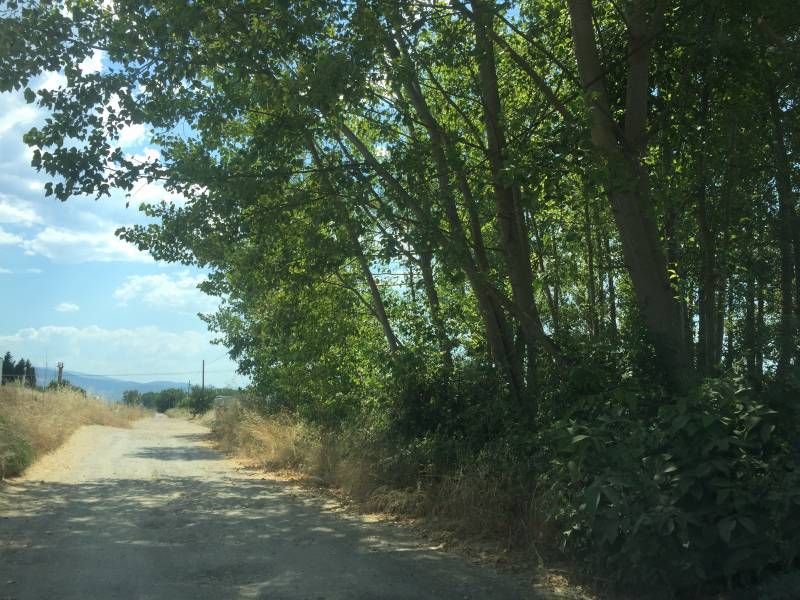Finca rústica en venta en Camponaraya