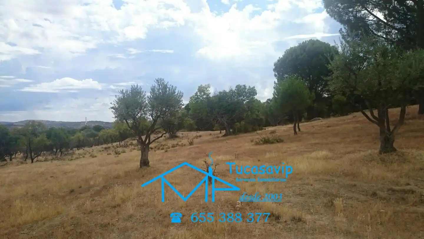 Rural land for sale in Pelayos de la Presa, imagen 3