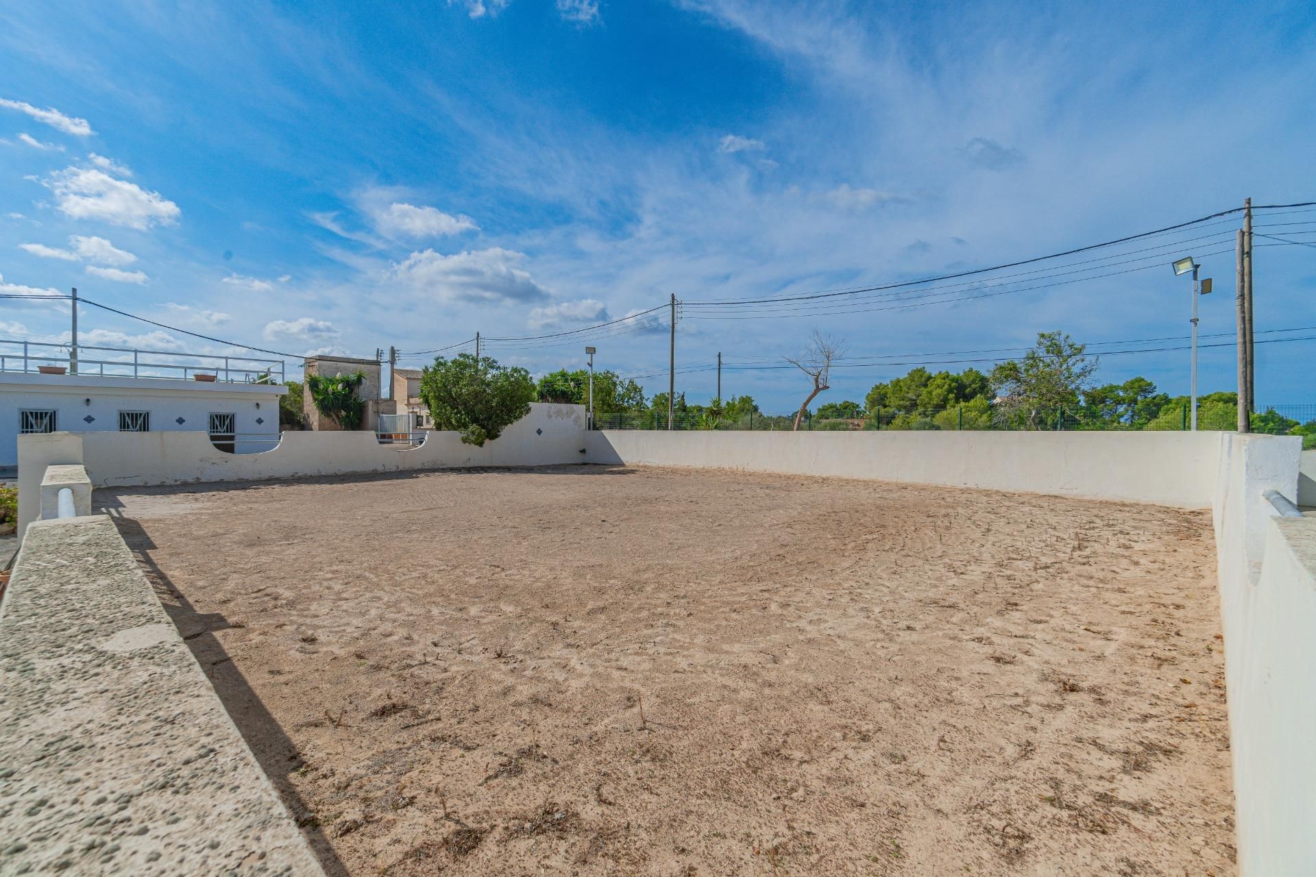 Country house for sale in Llucmajor pueblo