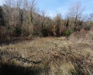 Land for sale in Castillazuelo