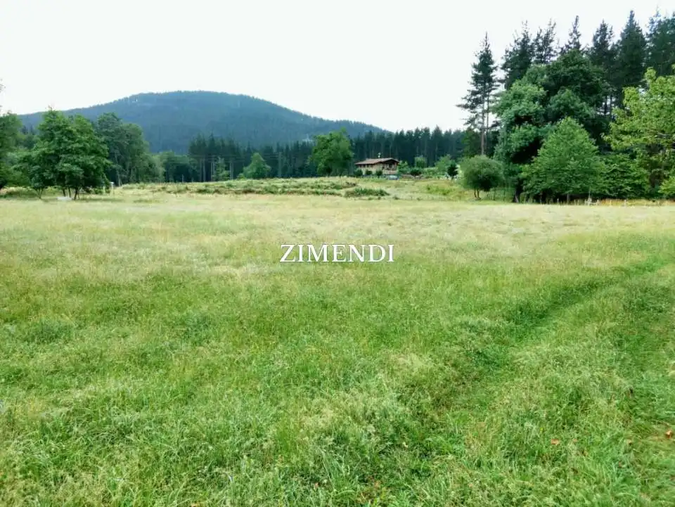 Terreno rustico in vendita a Abadiño