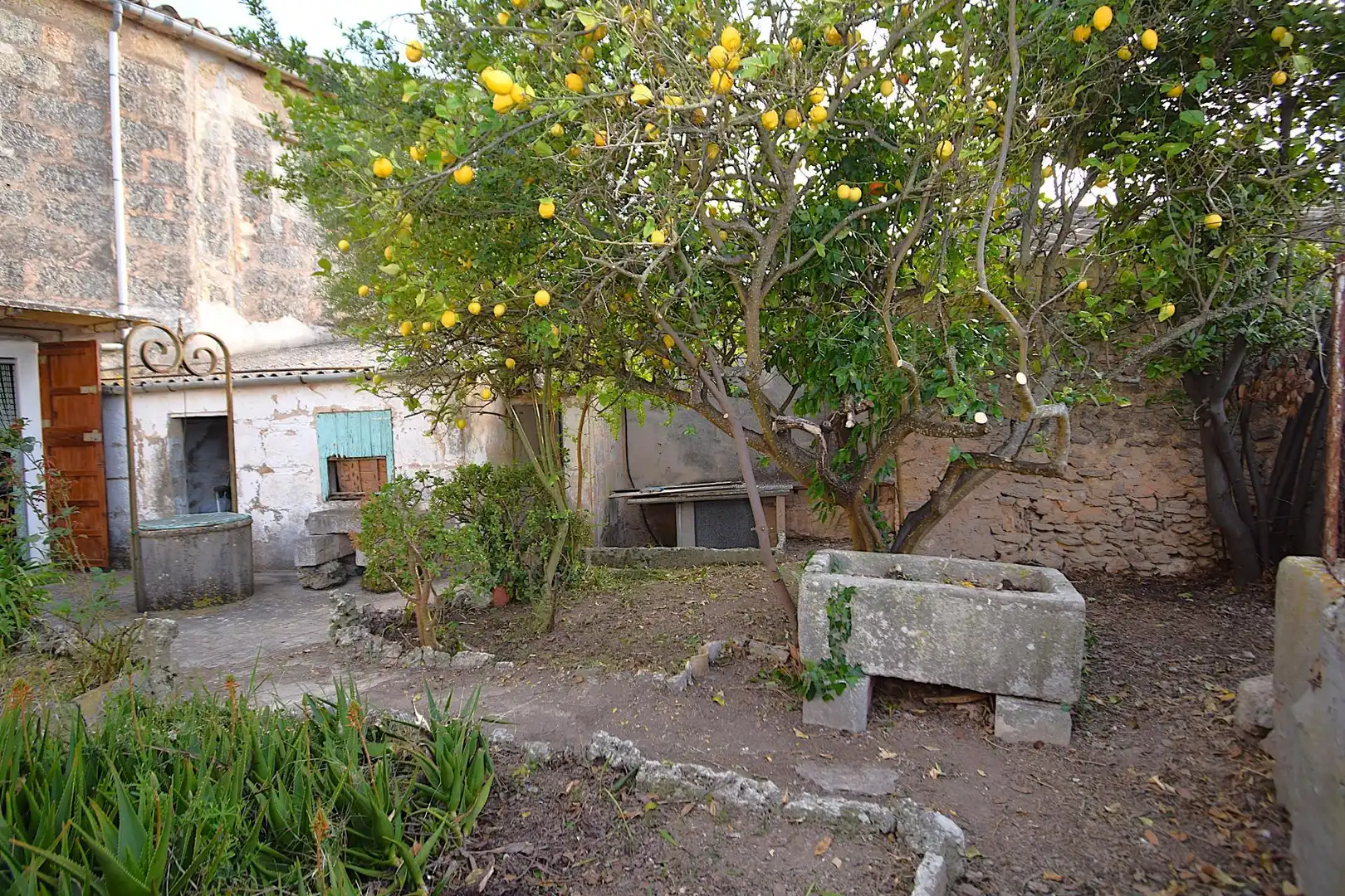 Garten von Haus oder Chalet zum Verkauf in Llubí mit Privatgarten