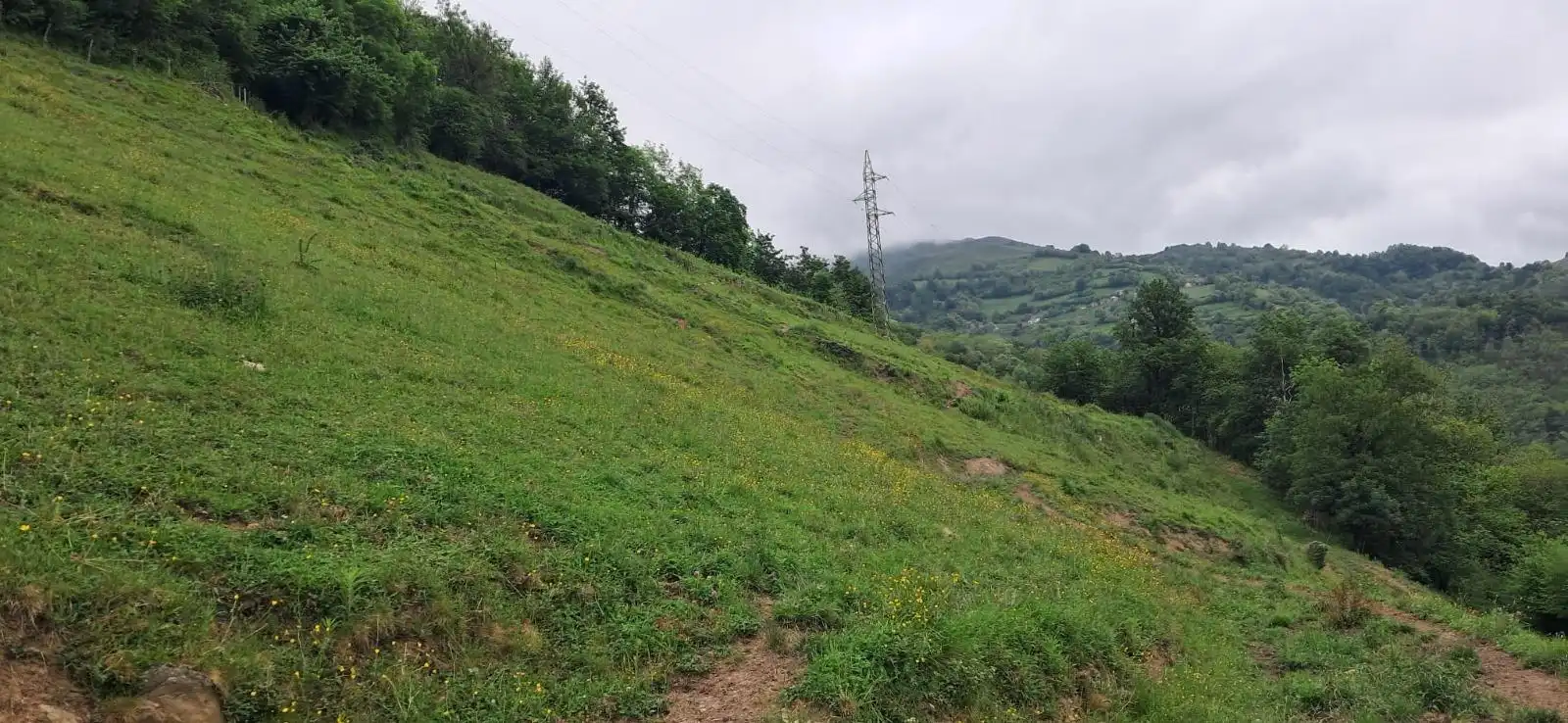 Lands and plots for sale in Lena, imagen 13