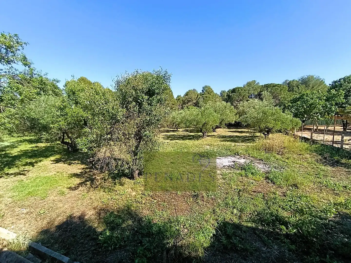 Casa o chalet en venta en El Pilar 