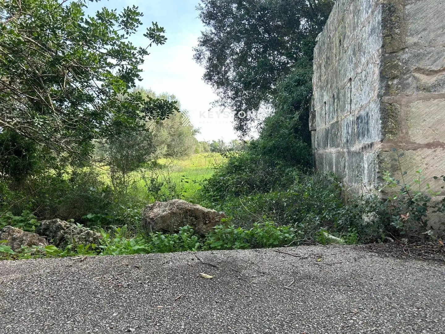 Rural land for sale in Muro, imagen 9
