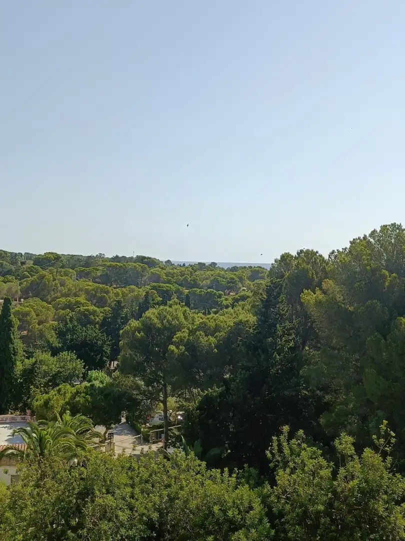 Piso en venta en L'Ametlla de Mar pueblo, imagen 22
