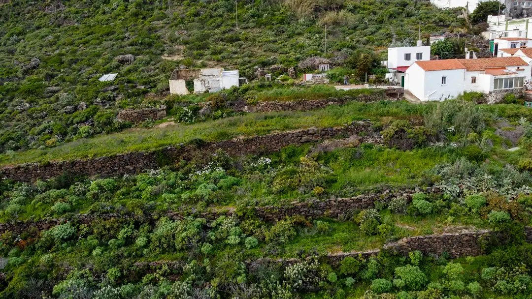 Finca rústica en venta en Moya (Las Palmas)