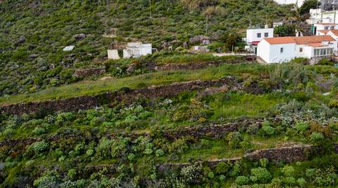 Foto 4 de Finca rústica en venta en Carretera Cabo Verde, 8, Moya (Las Palmas), Las Palmas