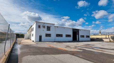Photo 3 of Industrial buildings for sale in Camino Entrepinos a, 4, Pedanías Este, Aspe