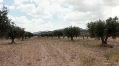 Photo 4 of Residential for sale in Suelo, Ptda Cañada del Embudo Pg 15 Pc 283-jumilla, -1, Jumilla, Murcia