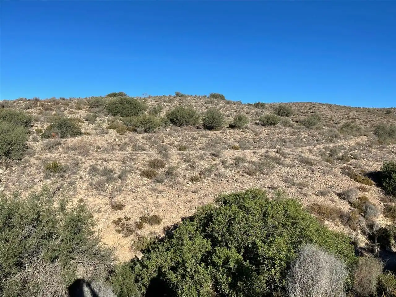 Terreny residencial en venda a SIETE FUENTES 35, imagen 10