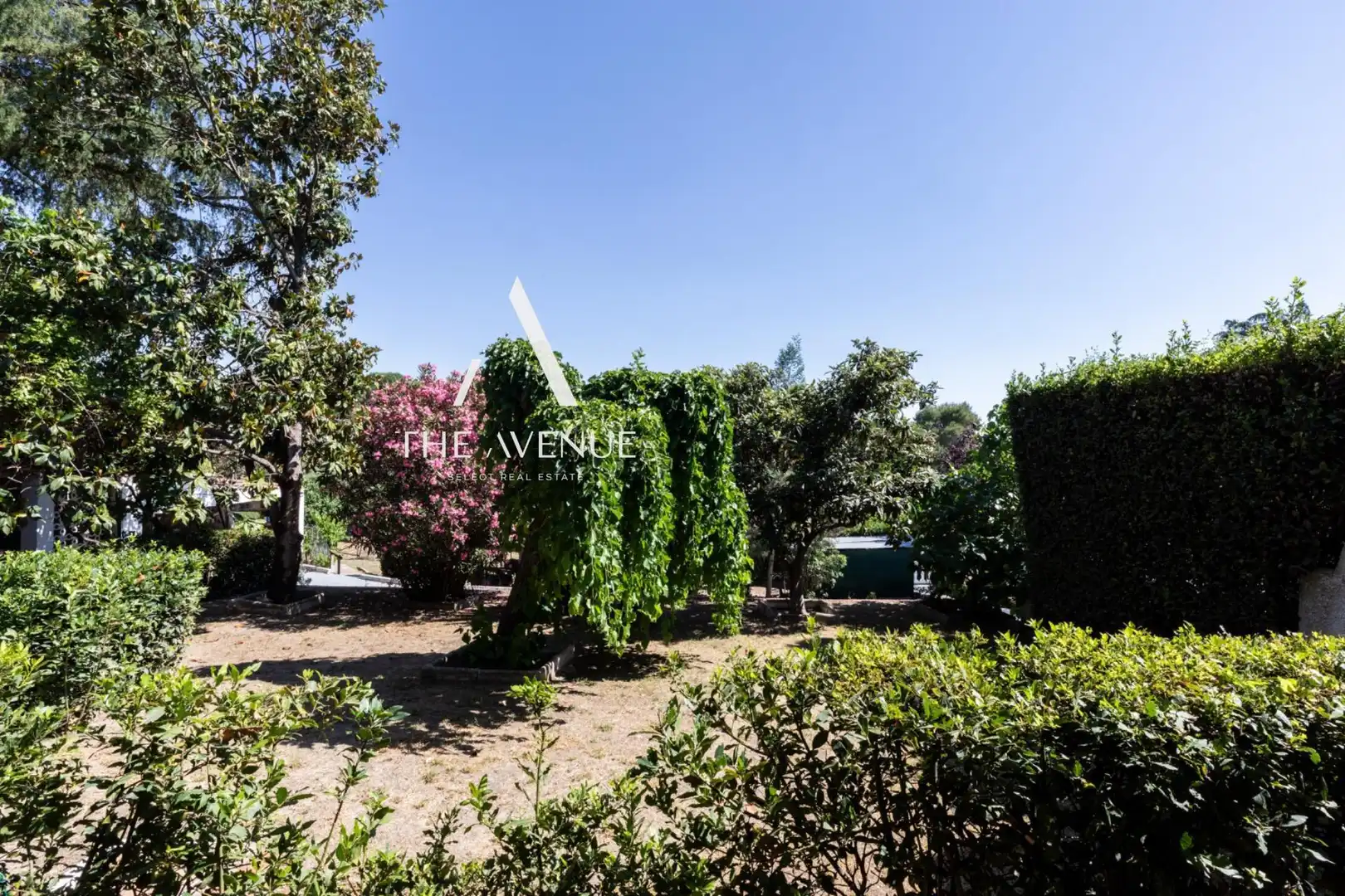 Jardí de Casa o xalet en venda en Boadilla del Monte amb Calefacció, Jardí privat i Terrassa