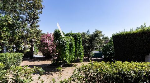 Foto 3 de Casa o xalet en venda a Paseo Jazmín, Valdepastores - Las Encinas, Boadilla del Monte