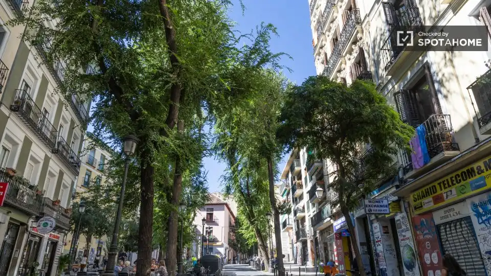 Piso con terraza en alquiler en Centro, imagen 17