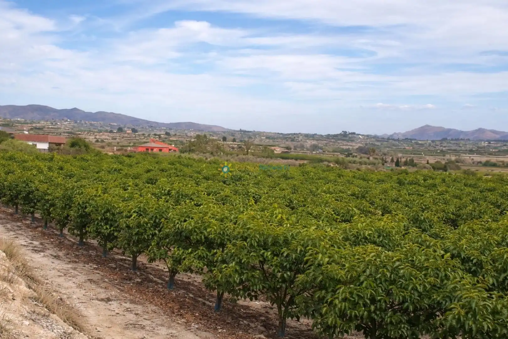 Finca rústica en venda en Benigànim amb Traster