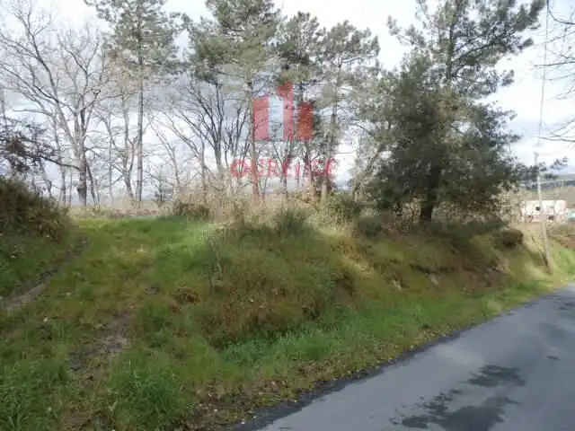 Terreni e lotti in vendita a O Pereiro de Aguiar