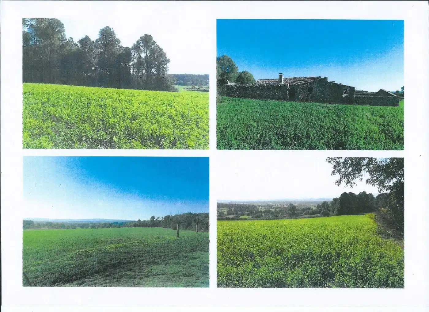 Finca rústica en venta en Vilopriu