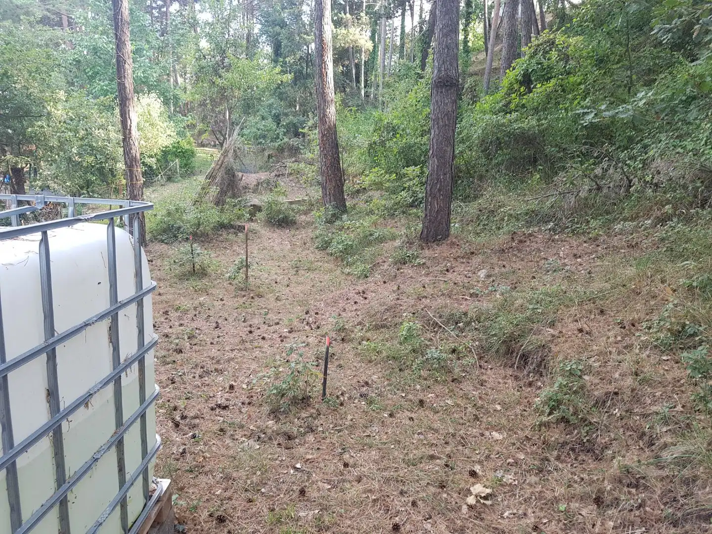 Residential land for sale in Carrer Vilafort 363
