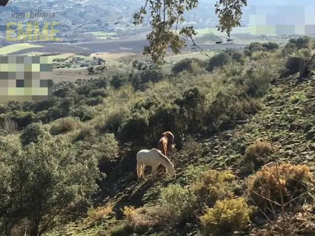 Xalet amb piscina en venda a Partidas Norte, imagen 43