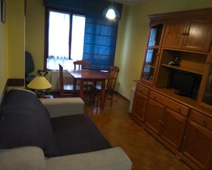 Sala d'estar de Apartament de lloguer en Oviedo  amb Calefacció, Parquet i Moblat