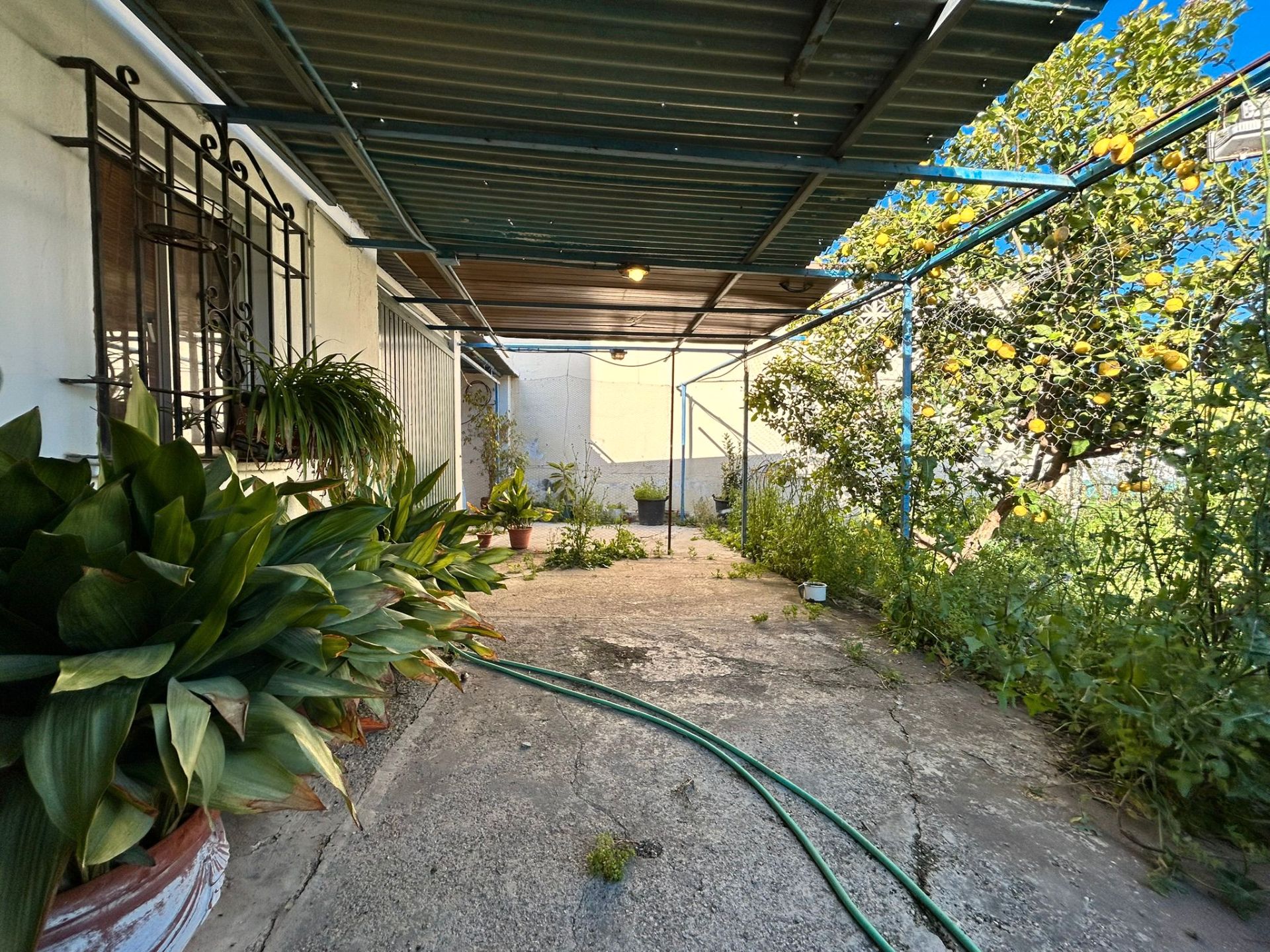 Garden of Residential for sale in Fuengirola