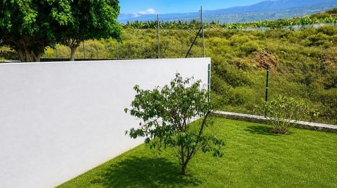 Foto 2 von Erdgeschoss zum Verkauf in Ecuador, Longuera - Toscal, Los Realejos