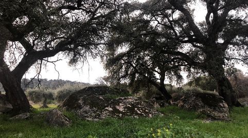 Finca en Montánchez