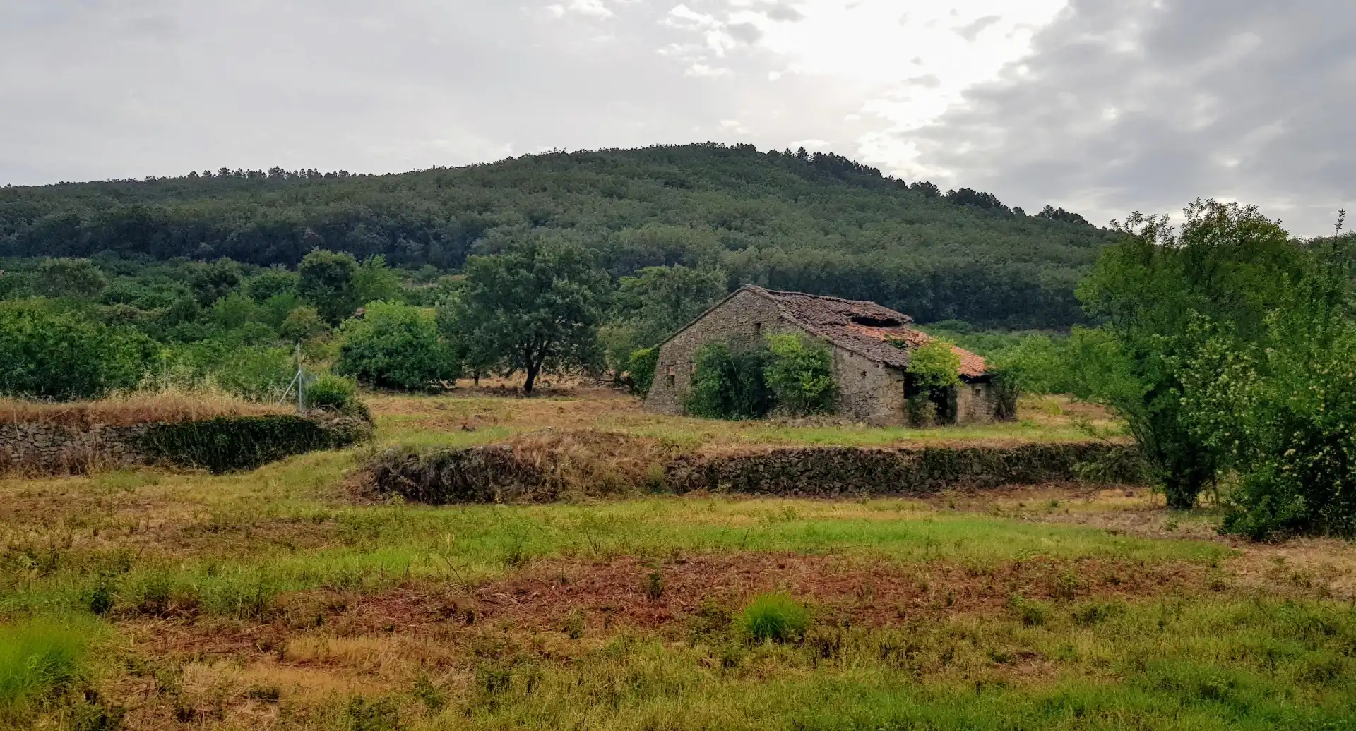 Residencial en venta en Torremenga