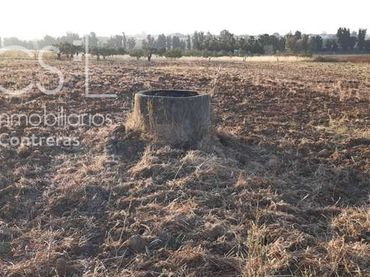 Terreno rustico in vendita a Almonte ciudad