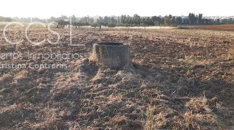 Venta de finca EN PROPIEDAD de 13.604 m2 en Almonte Huelva