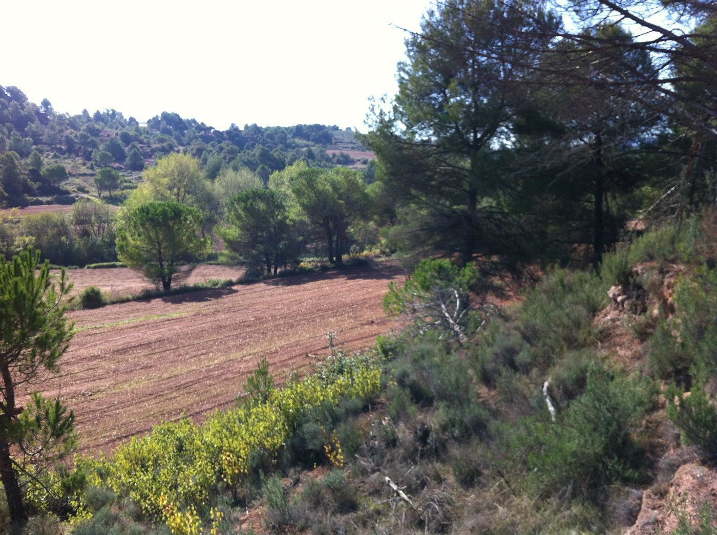 Industrial land for sale in Sant Llorenç Savall